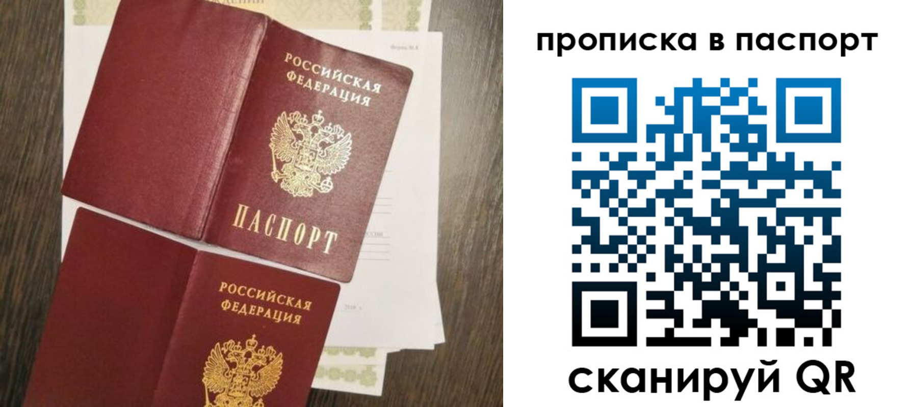 прописка гарантия в Курской области